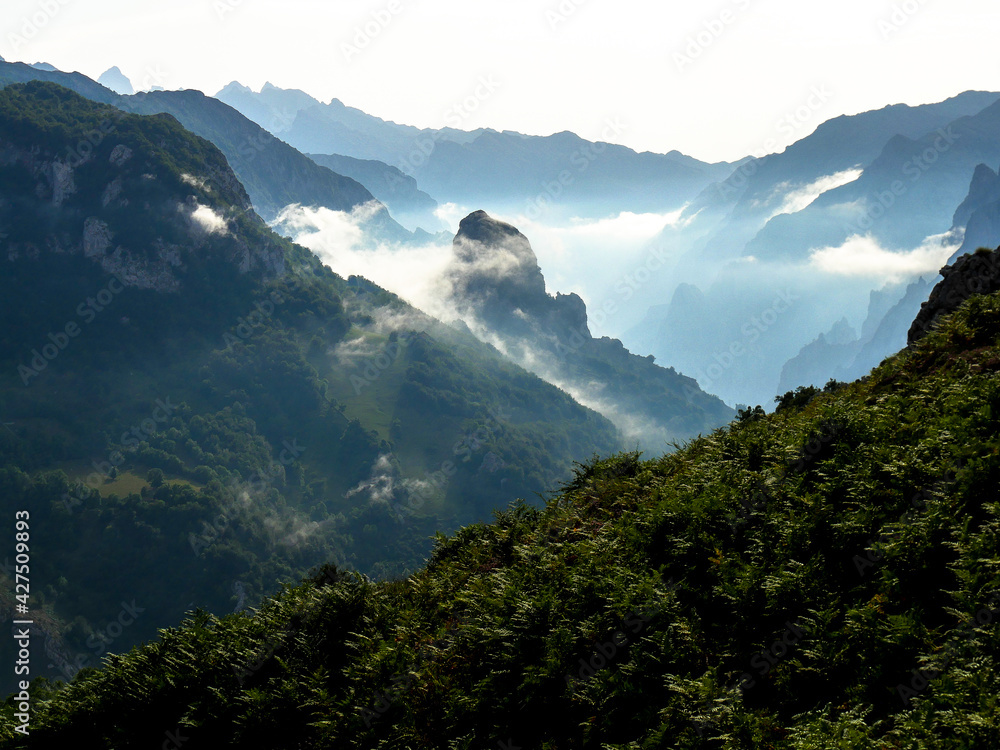 Mountain landscape in the Picos de Europa National Park (Asturias / Spain)