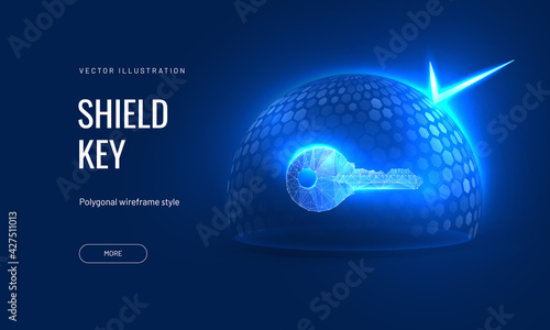 Canvas Print Digital key under a protective dome in a futuristic polygonal style