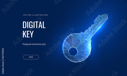 Digital key in a futuristic polygonal style. Vector abstract illustration of blockchain technologies
