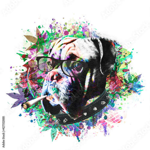 Wall Mural grunge background with graffiti and painted dog with cannabis cigarette