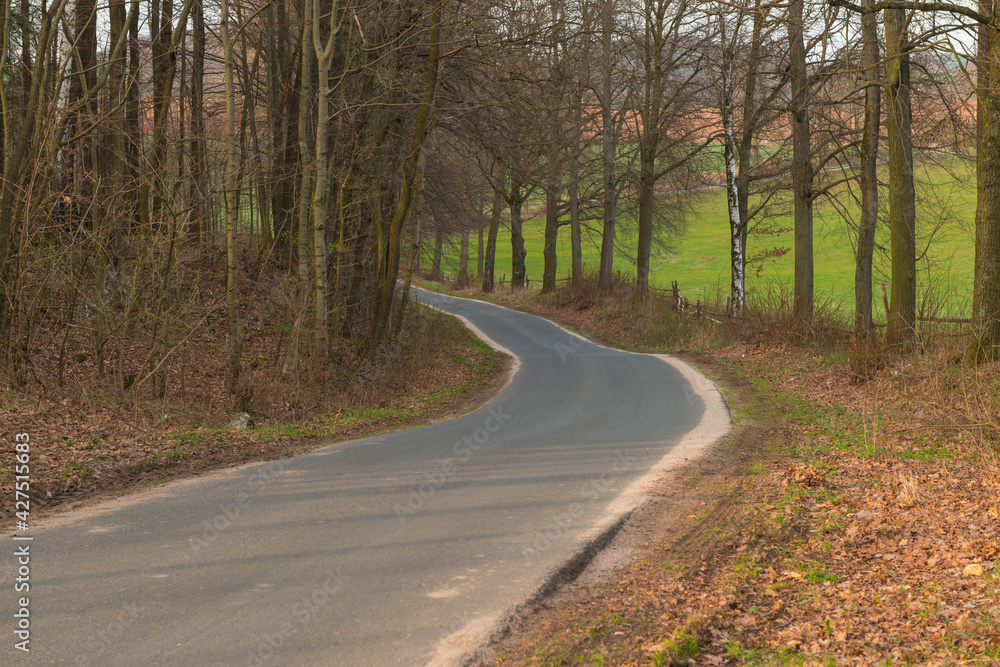 Obraz premium Wąska, wiejska droga asfaltowa pośród pól.