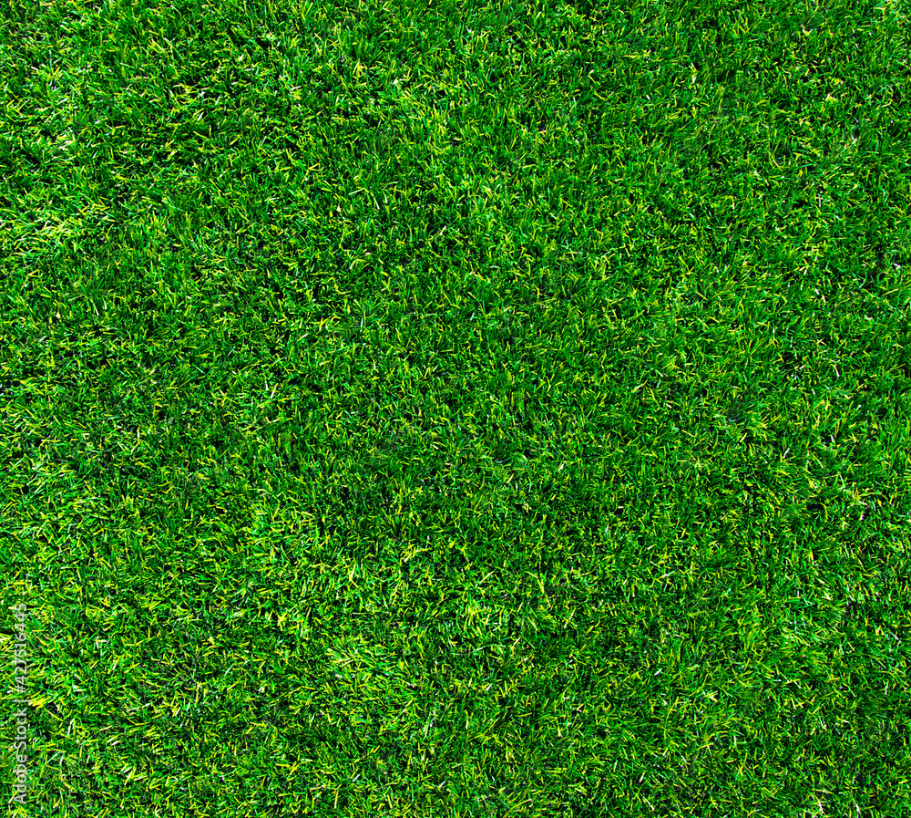 Fototapeta premium Green grass texture background.