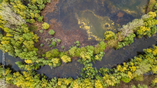 swamp view from drone. Swampy landscape. View of an impassable swamp from height. Aerial photography. Aerial view of a swamp scenery at sunrise