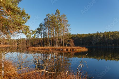 Autumn season mood. Trees with foliage around lake. Estonian countryside.