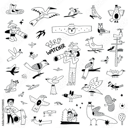 
birdwatching,birds - doodles set,hand drawn illustration
