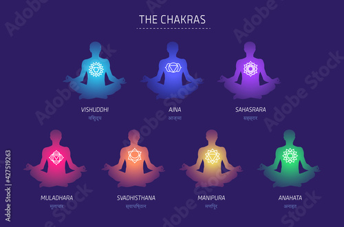 Chakras energy lotus pose human vector set