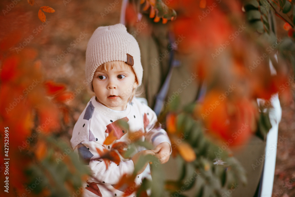 Portrait of a cute boy standing on the ground covered with autumn leaves. Portrait of a cute boy standing on the ground covered with autumn leaves.