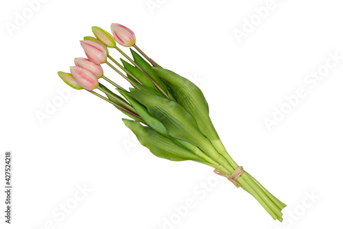 tulip buds. Pink tulips. 7 tied flowers isolated on a white background. Closed buds