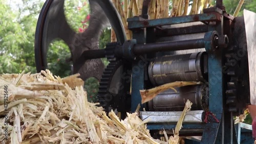 Sugarcane Being Squeezed Or Crushed Under Mechanical Vibrating Juicer Machine. Extracting Ganne Ka Juice Brazilian Garapa Or Guarapa Drink By Inserting And Releasing Bagasse From Traditional Device photo