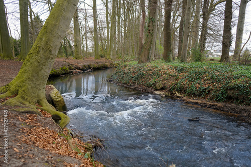 Lutter bei Isselhorst im Frühjahr, Ems-Lutter, Fluss, Kreis Gütersloh, Ostwestfalen-Lippe photo