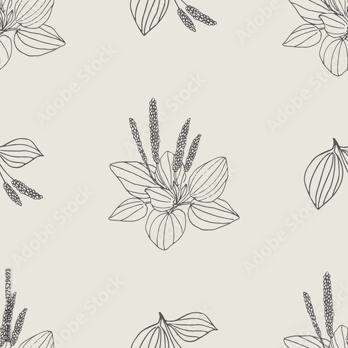 vector graphic seamless pattern with plantain plant
