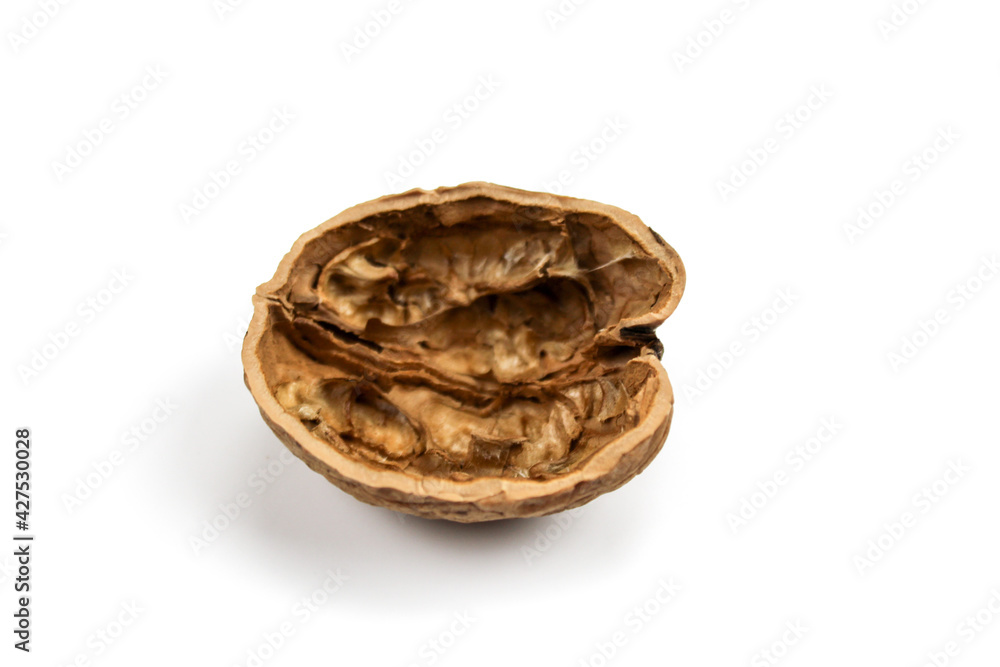 Empty half of a walnut shell on a white background. Walnut shell isolated on white background. Empty half of a walnut shell on a white background. Walnut shell isolated on white background.