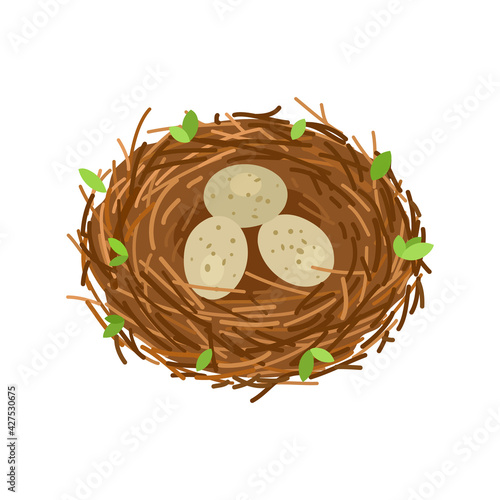 Birds nest with 3 eggs, branches and leaves. Vector illustration isolated on white background. photo