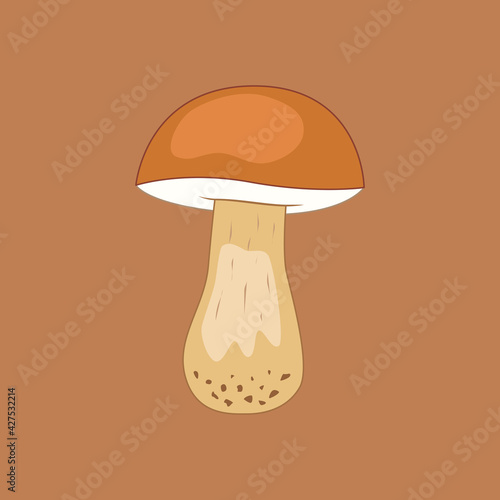 White mushroom on a brown background.