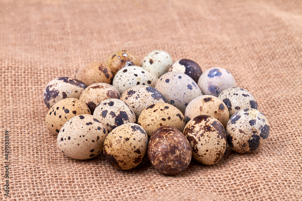 Nest of quail eggs. Old rural fabric jute. Nest of quail eggs. Old rural fabric jute.