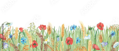 Watercolor hand painted field nature composition with green grass and red poppy, white chamomile, blue cornflower and golden rye ear cereals bouquet on the white background