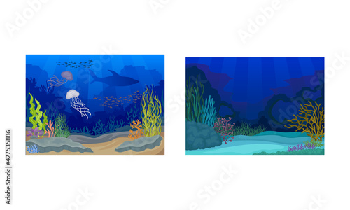 Underwater Bottom View with Algae and Sea Weeds Vector Set.
