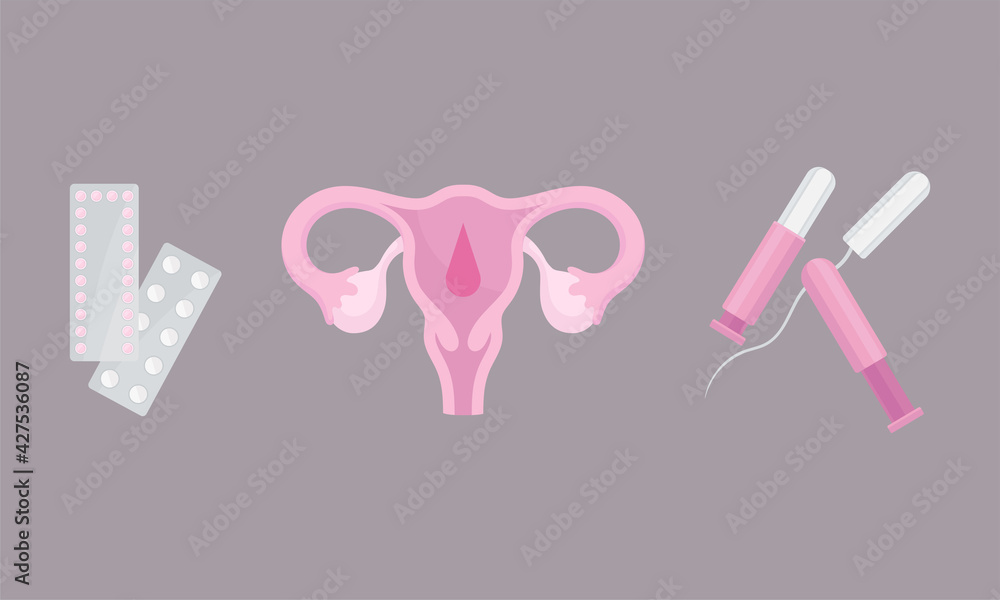Menstruation or Period with Female Reproductive Organ and Tampoon Vector Set
