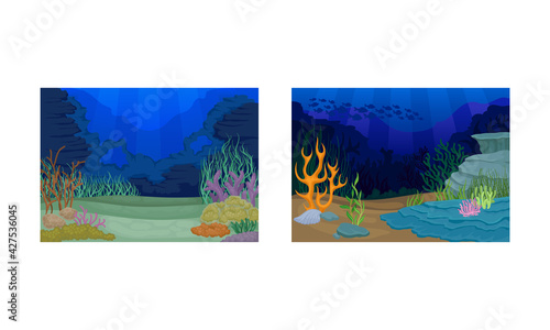 Underwater Bottom View with Algae and Sea Weeds Vector Set.