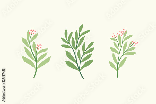 Set of botanical vector elements. Hand drawn illustration with leaves and plants.   Floral ornaments for card  logo design  print fashion.