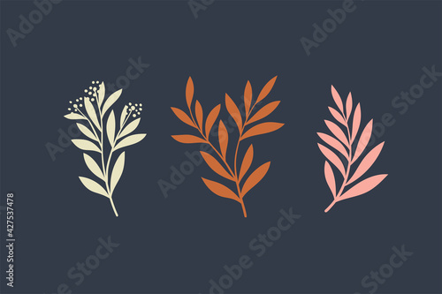 Set of botanical vector elements. Hand drawn illustration with leaves and plants.  Floral ornaments for card, logo design, print fashion.
