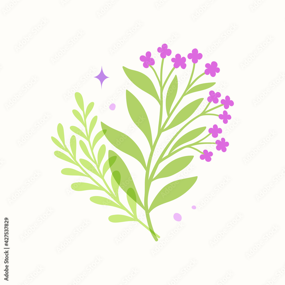 Set of botanical vector elements. Hand drawn illustration with leaves and plants. Floral ornaments for card, logo design, print fashion. Set of botanical vector elements. Hand drawn illustration with leaves and plants. Floral ornaments for card, logo design, print fashion.