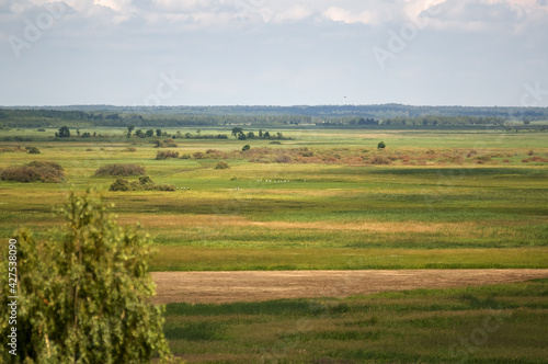 Krajobraz przyroda widok na polanę z dalekiej perspektywy   © Monika