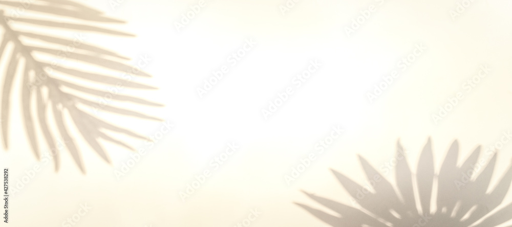 Flowers shadow summer background. Plant leaf shadows on white wall in abstract tropical sunlight texture. Empty palm shadow yellow color texture pattern.