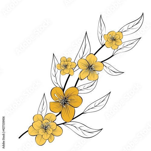Beautiful branch, great design for any purposes. Isolated background.