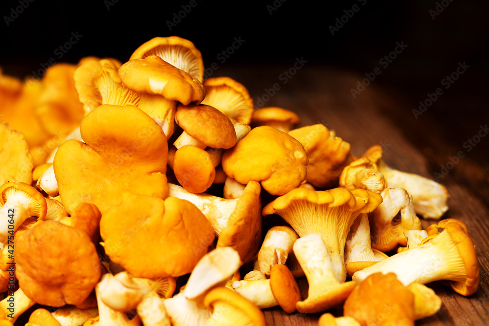 Fresh chanterelle mushrooms on wood surface close-up, soft selective focus Fresh chanterelle mushrooms on wood surface close-up, soft selective focus