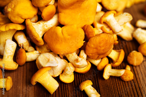 Fresh chanterelle mushrooms on wood surface close-up, soft selective focus