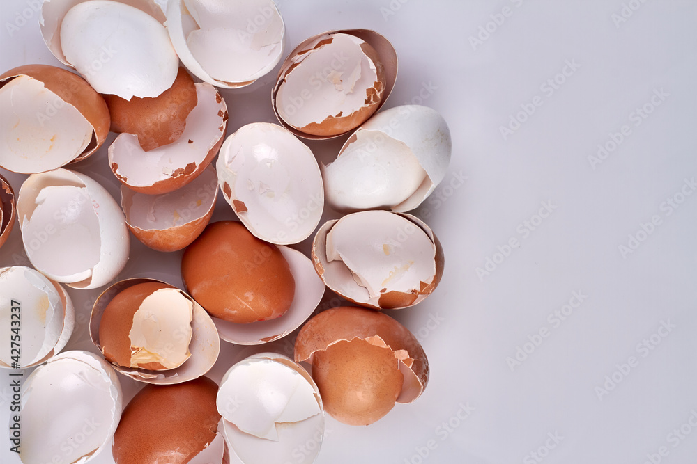 Collection of broken empty eggshells. Collection of broken empty eggshells.