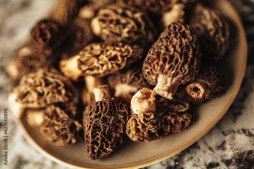 A close up shot of raw organic morel mushrooms. Concept of gourmet food and French cuisine - obrazy, fototapety, plakaty 