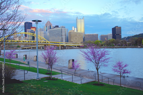 Allegheny River Springtime