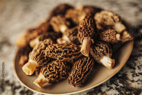 A close up shot of raw organic morel mushrooms. Concept of gourmet food and French cuisine photo