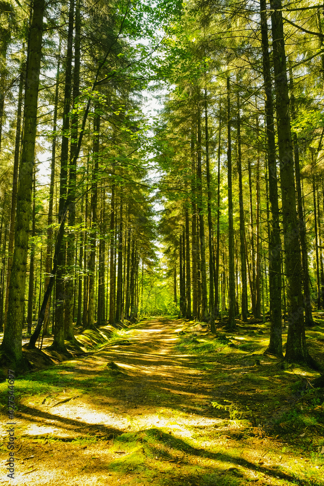 Obraz premium landscapes 