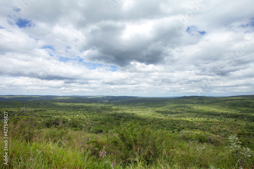 Landscape in the Hluhluwe Imfolozi Game Reserve. African safari in the park. 