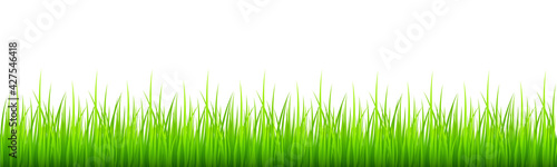 Green grass border isolated on white background. Lawn or meadow natural texture. Springtime theme. Vector cartoon illustration.