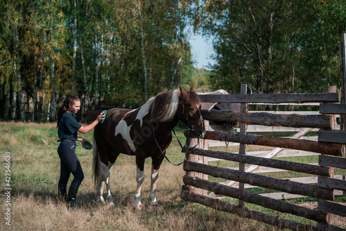 Cute girl holds a brush in her hand and cleans her horse in the equestrian club © Anna Kosolapova