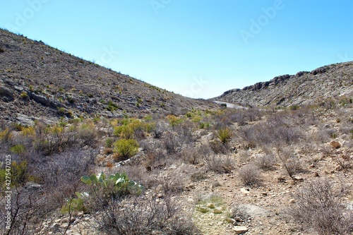 This Photo was taken in New Mexico.