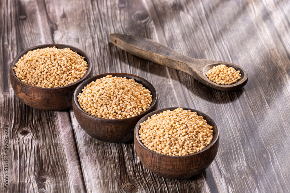Healthy millet seeds in wooden spoon - Healthy food Healthy millet seeds in wooden spoon - Healthy food