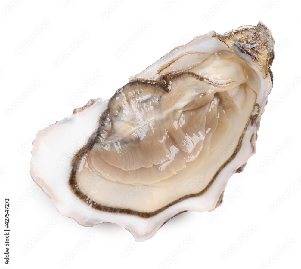 Fresh raw open oyster on white background Fresh raw open oyster on white background