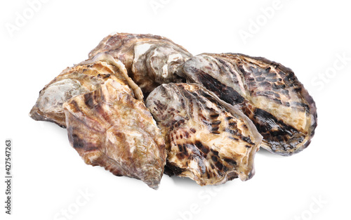 Fresh raw closed oysters on white background