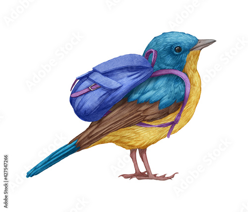 Hand-drawn illustration of Blue Flycatcher with a backpack. Little Bird.