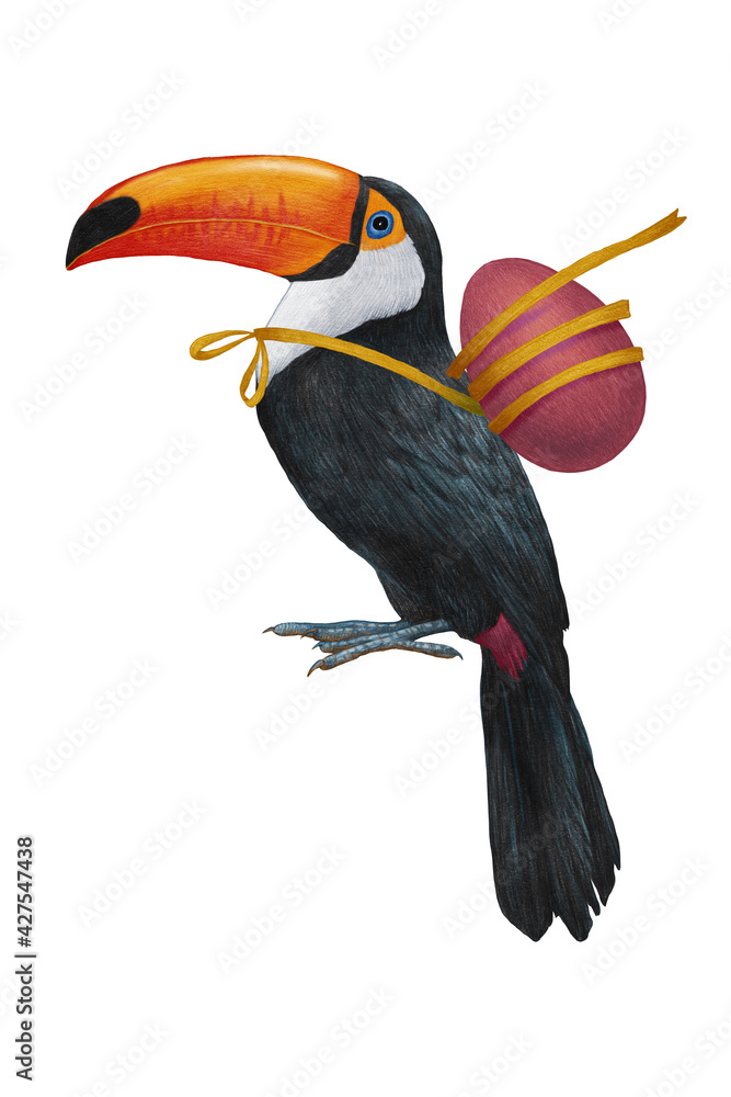 Hand-drawn illustration of Toucan. Tropical Bird. Easter.