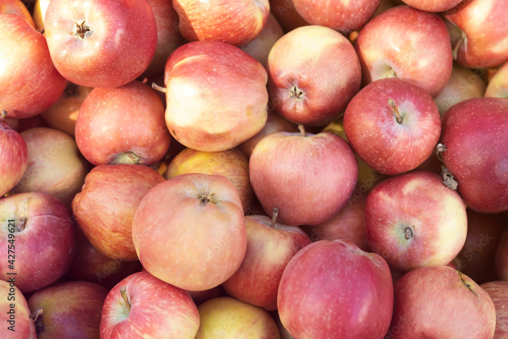 Large group of ripe red apples background Large group of ripe red apples background