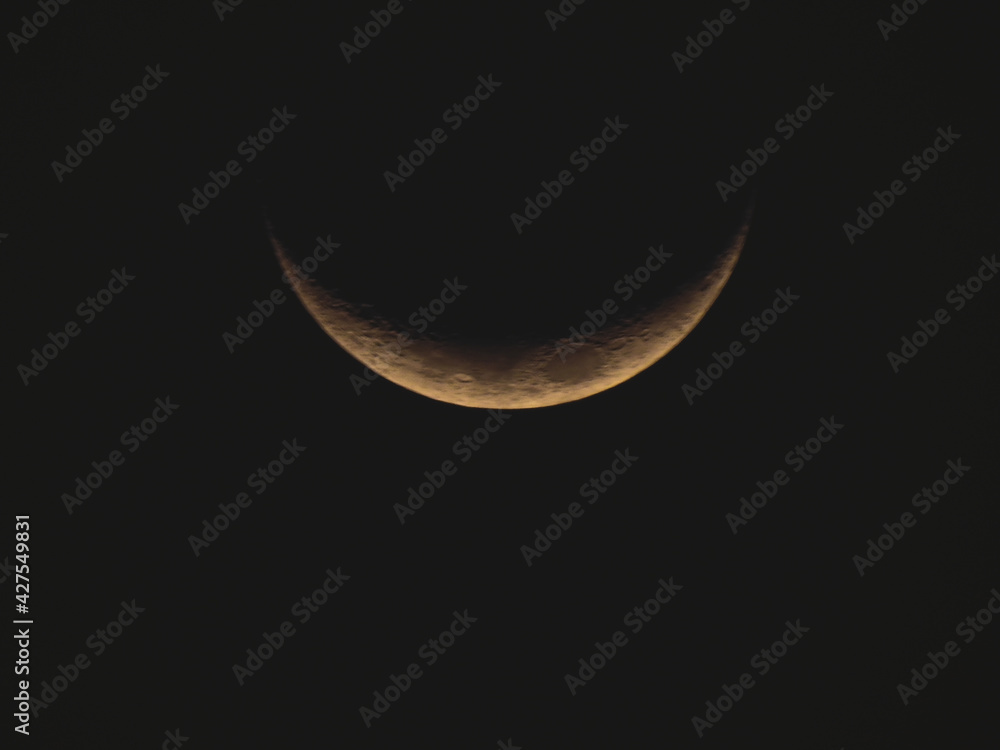 moon moon