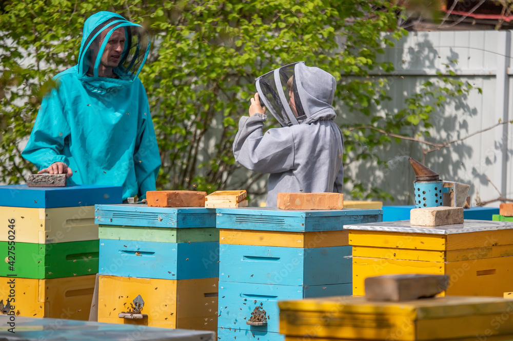 Dad and son on the apiary. Family agribusiness. boy records video as father works near hives. Online education in beekeeping and fertilization of queen bee. Dad and son on the apiary. Family agribusiness. boy records video as father works near hives. Online education in beekeeping and fertilization of queen bee.
