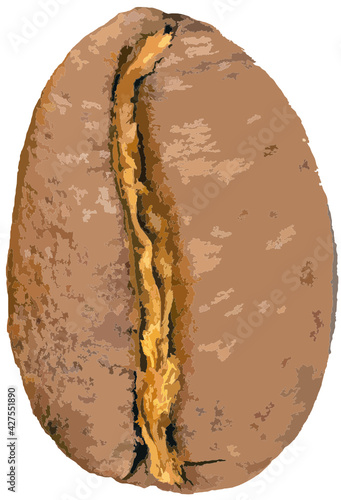 coffee bean
