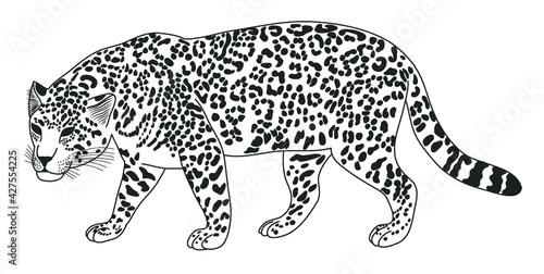 Vintage Cheetah Illustration